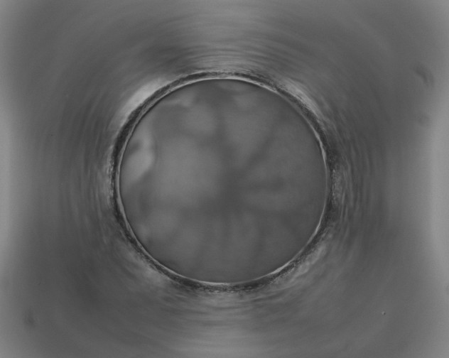 X0000113781071200910071219