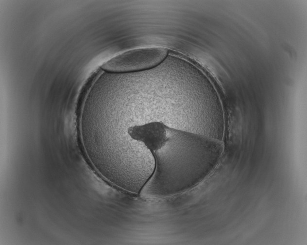 X0000113781072200910071219