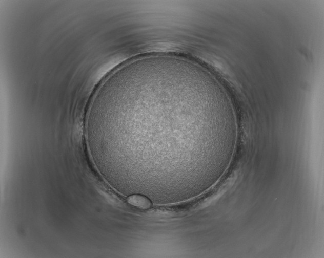 X0000113781073200910071219