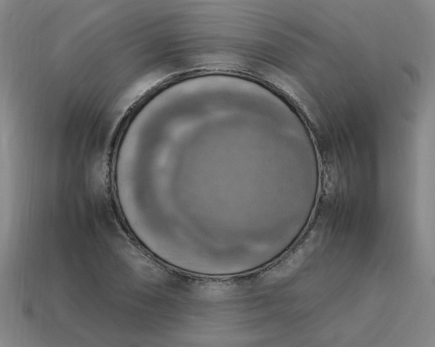 X0000113781074200910071219