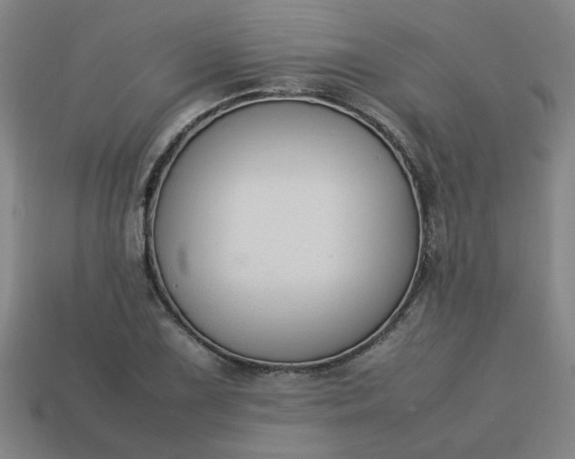 X0000113781075200910071219