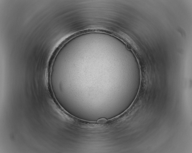 X0000113781076200910071219