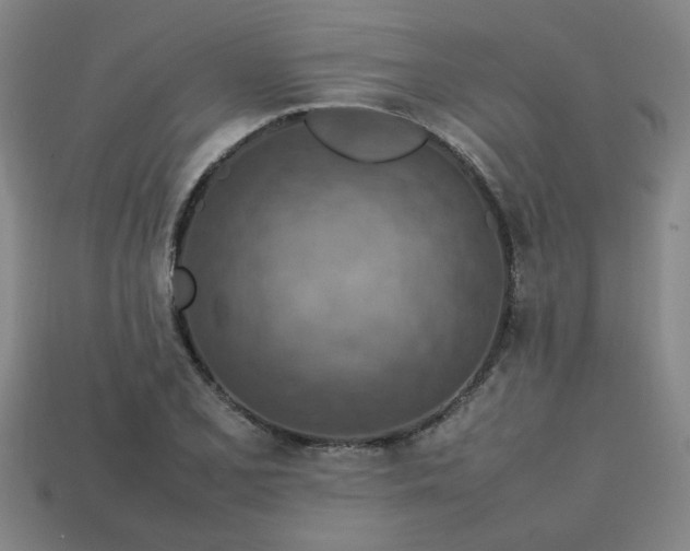 X0000113781077200910071219