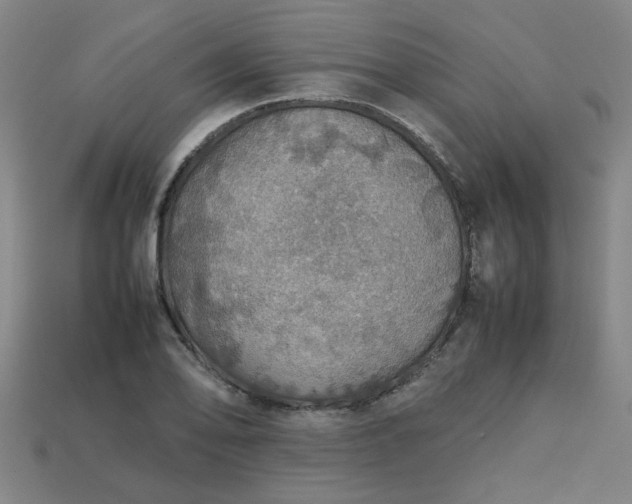 X0000113781078200910071219