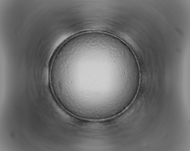 X0000113781079200910071219