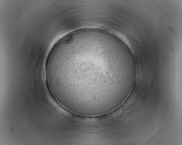 X0000113781080200910071219