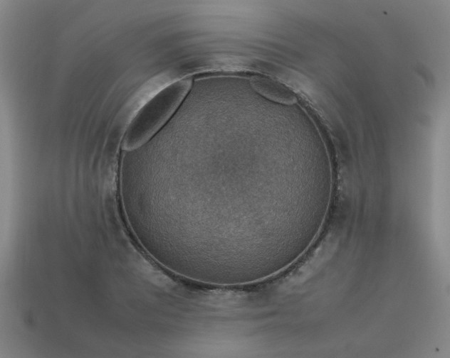 X0000113781081200910071219