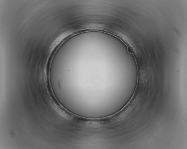 X0000113781082200910071219