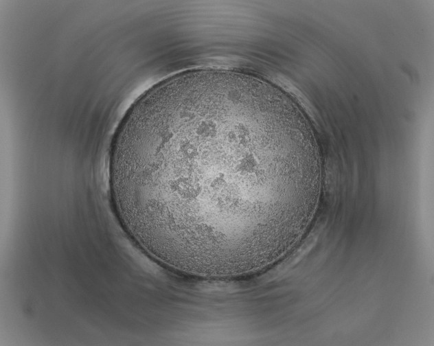 X0000113781083200910071219