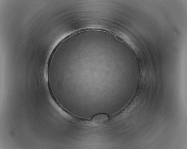 X0000113781084200910071219