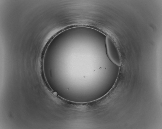 X0000113781085200910071219