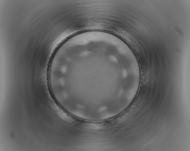 X0000113781086200910071219