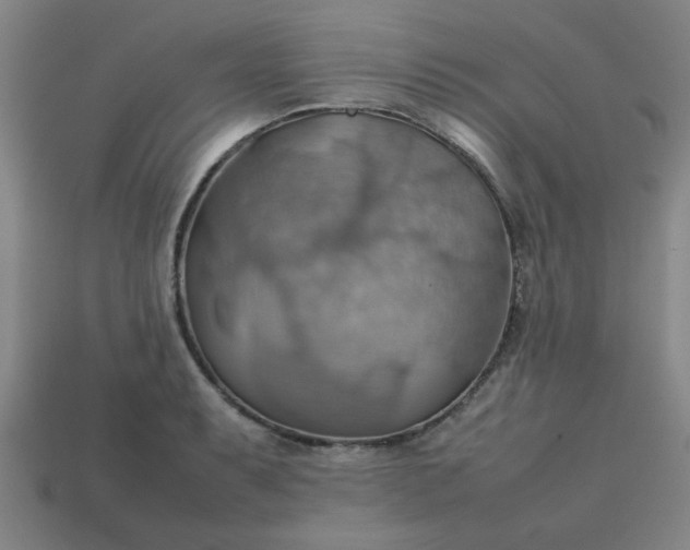 X0000113781087200910071219