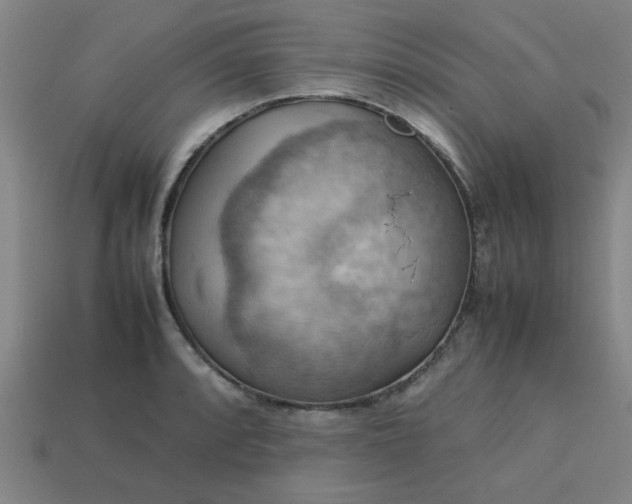 X0000113781088200910071219