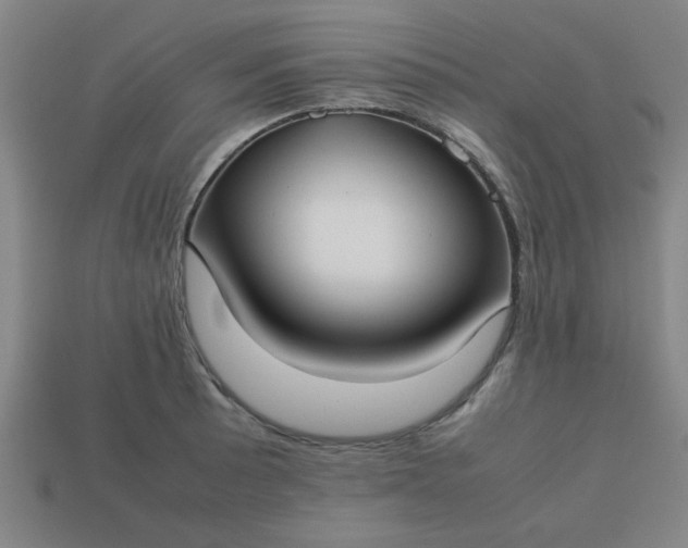 X0000113781089200910071219