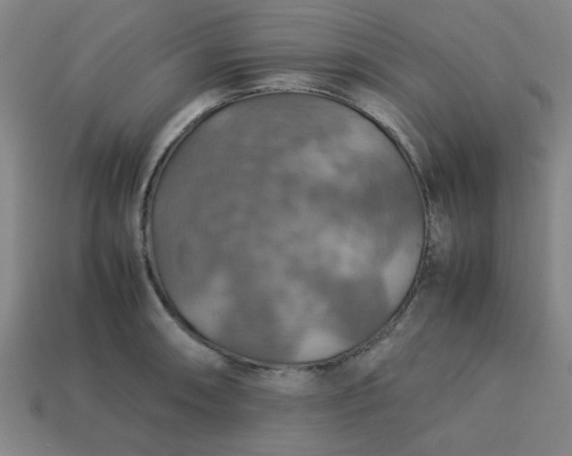 X0000113781090200910071219