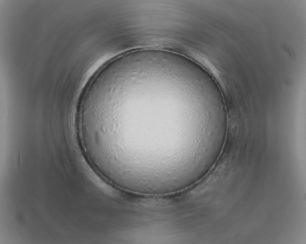 X0000113781091200910071219