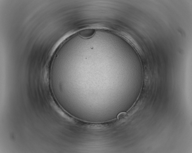 X0000113781092200910071219