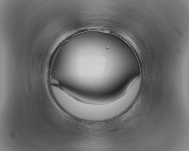 X0000113781093200910071219