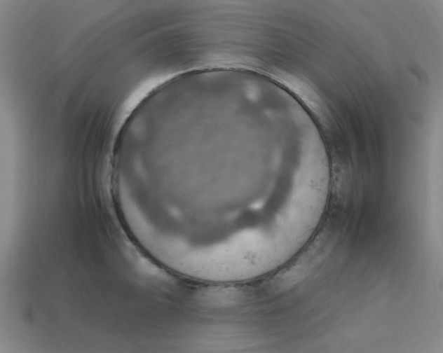 X0000113781094200910071219