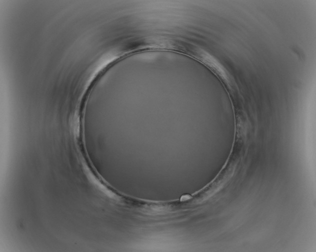 X0000113781095200910071219