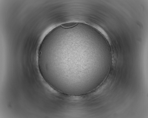 X0000113781096200910071219