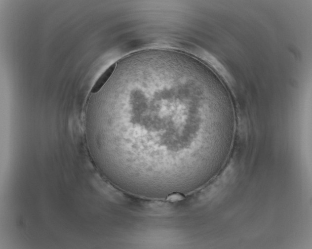 X0000113781097200910071219