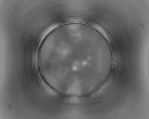 X0000113781098200910071219