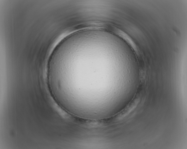 X0000113781099200910071219