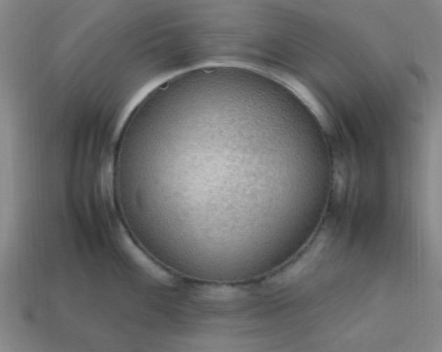 X0000113781100200910071218