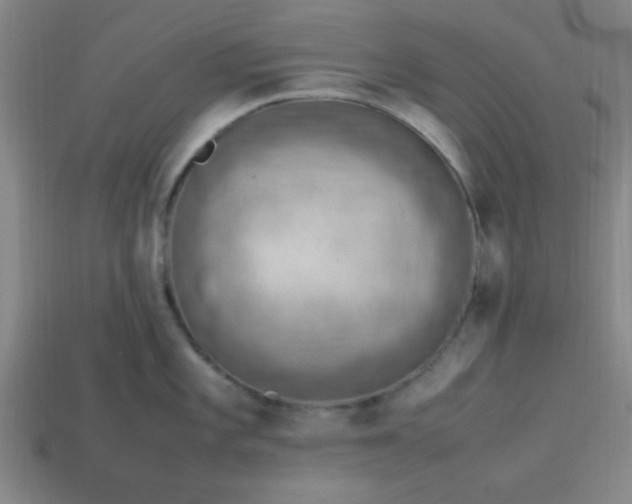 X0000113781101200910071218