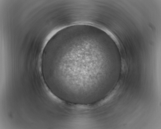 X0000113781102200910071218