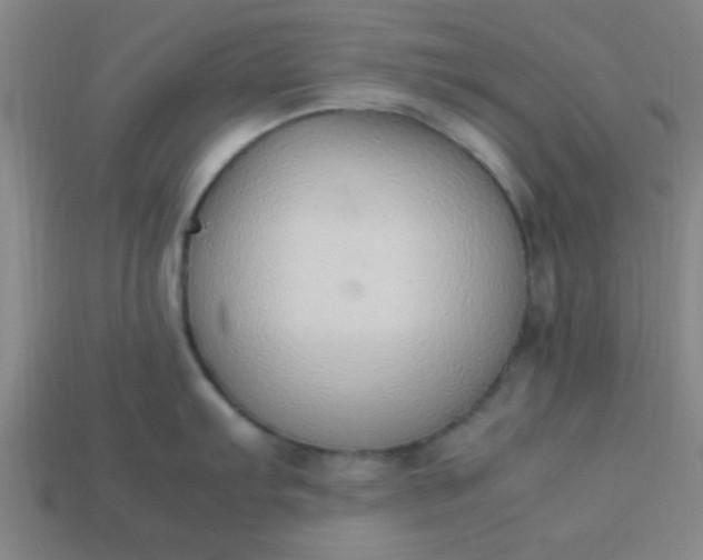 X0000113781103200910071218