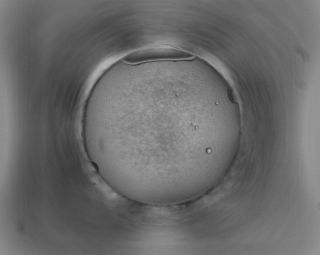 X0000113781104200910071218