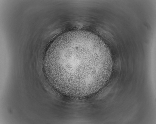 X0000113781105200910071218