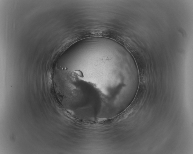 X0000113781106200910071218