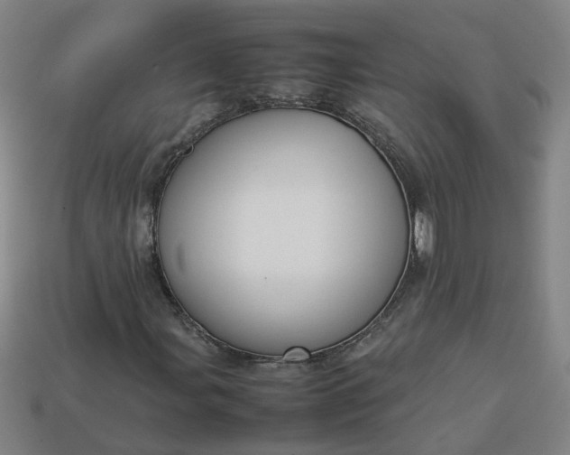 X0000113781107200910071218