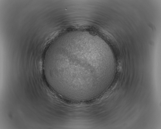 X0000113781108200910071218