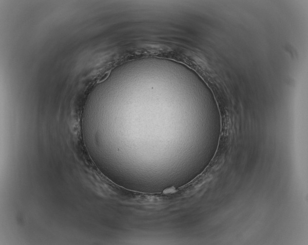 X0000113781109200910071218