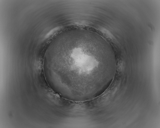 X0000113781110200910071218