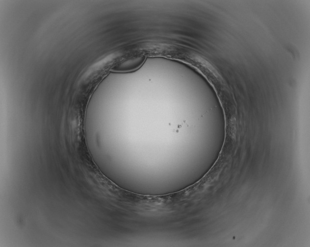 X0000113781111200910071218