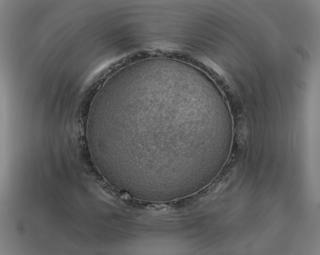 X0000113781112200910071218