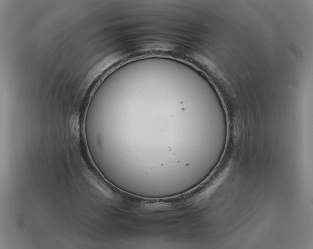 X0000113781113200910071218