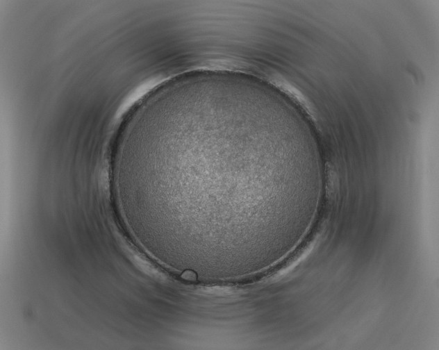 X0000113781114200910071218