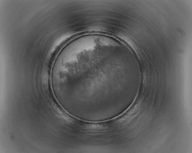 X0000113781115200910071218