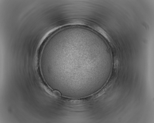 X0000113781116200910071218