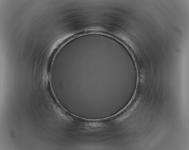 X0000113781117200910071218