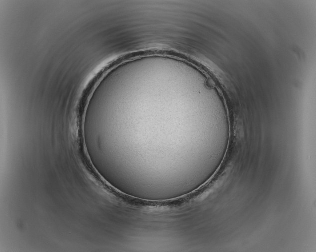 X0000113781118200910071218