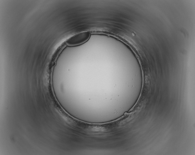 X0000113781119200910071218