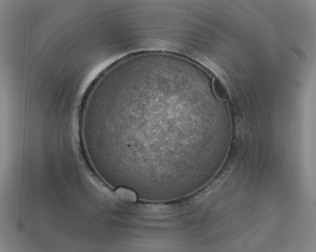 X0000113781120200910071218